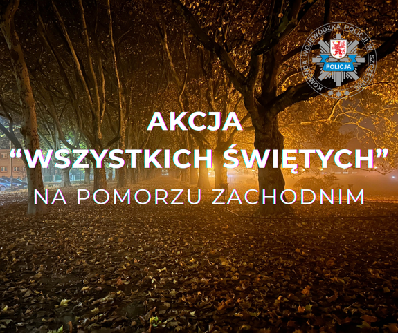 plakat działań