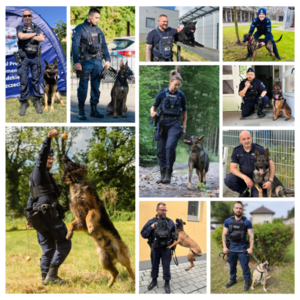 fotografie policyjnych psów