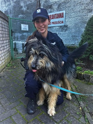 fotografia policjantki i psa
