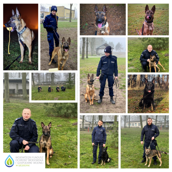 fotografie policjantów z psami